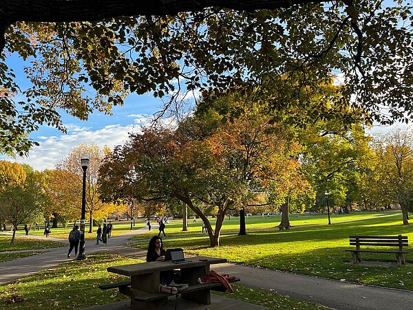 Ohio State University